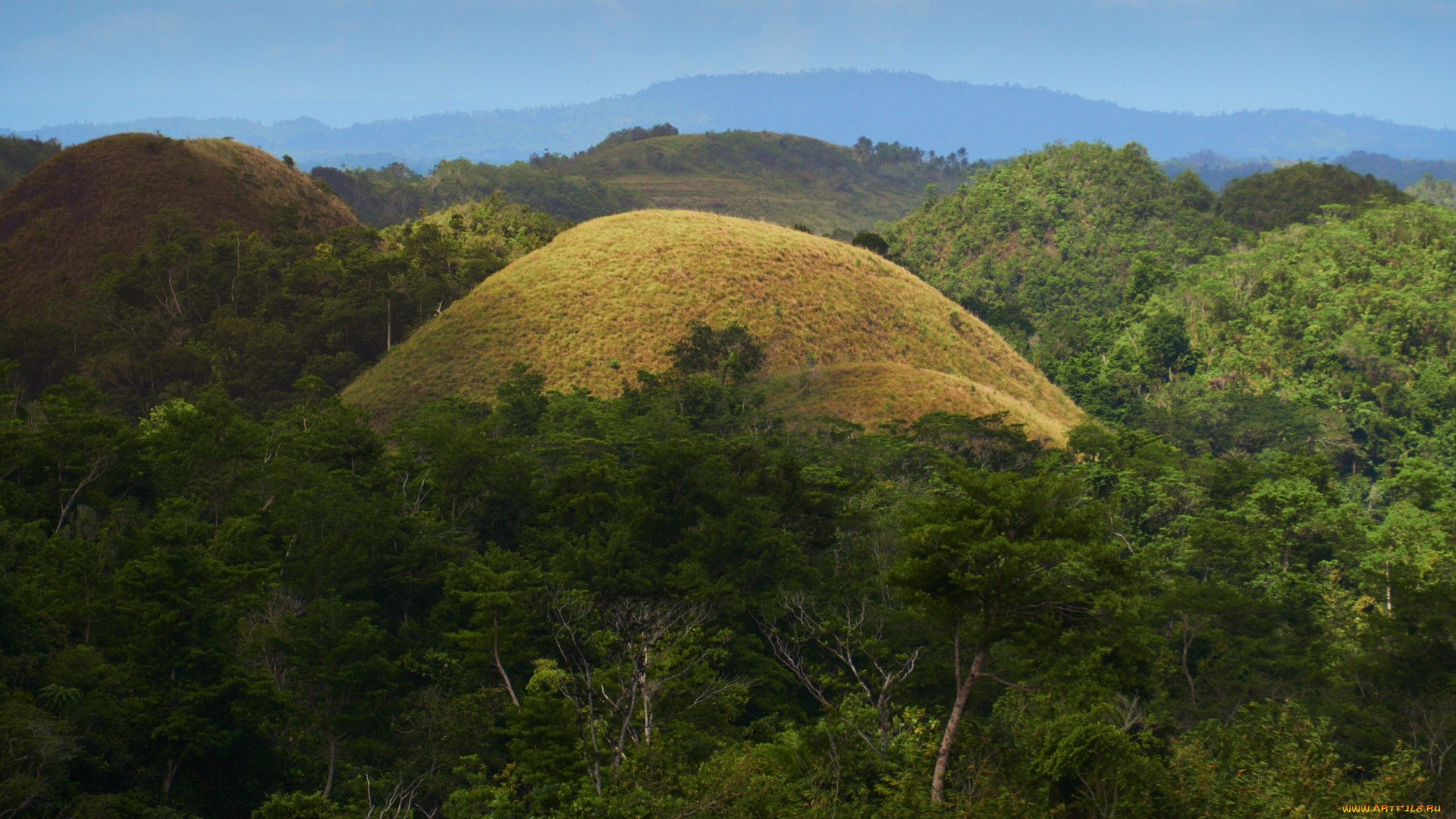 chocolate hills, bohol, philippines, , , chocolate, hills